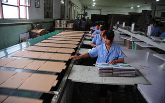 呼和浩特戶外用品市場迎來銷售租賃旺季